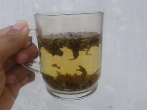teh hijau